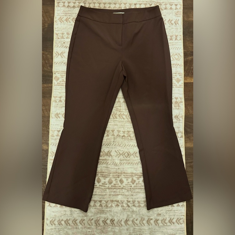 Dark Brown Casual or Work Pants (Rachel Zoe)